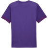 Koszulka męska Puma teamGoal Matchday Jersey fioletowa 705747 10