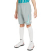 Spodenki dla dzieci Nike NK Df Academy Shrt Wp Gx szare CV1469 019