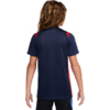 Koszulka dla dzieci Nike Paris Saint-Germain Academy Pro granatowa II1664 410