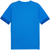 Koszulka męska Puma teamGoal Matchday Jersey niebieska 705747 02