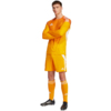 Spodenki męskie adidas Tiro 24 pomarańczowe JN4497 
