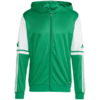 Bluza męska adidas Squadra 25 Hoody zielono-biała JP3164