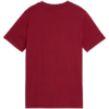 Koszulka dla dzieci Puma ESS Small No.1 Logo Centered Tee brązowa 692975 23