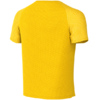 Koszulka dla dzieci Nike Dri-Fit Academy II żółta HV8168 719