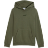 Bluza dla dzieci Puma ESS Small No.1 Logo Centered Hoodie khaki 692976 86