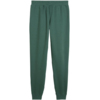 Spodnie męskie Puma ESS 2 Color No.1 Logo zielone 684713 90