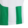 Koszulka dla dzieci adidas Striped 24 biało-zielona IW2138