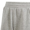 Spodenki dla dzieci adidas Tiro 24 Sweat szare IS1005