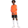 Bluza bramkarska dla dzieci Nike Dry Park IV JSY LS GK JUNIOR pomarańczowa CJ6072 819