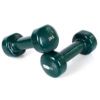 Hantle winylowe Profit zielone 2x2kg DK 4102  