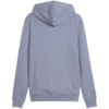 Bluza męska Puma ESS 2 Color Small No.1 Logo Hoodie szara 684719 65
