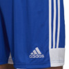 Spodenki dla dzieci adidas Tastigo 19 Shorts JUNIOR niebieskie DP3682/DP3686