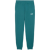 Spodnie męskie Puma Ess 2 Color No.1 Logo zielone 684714 41