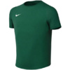 Koszulka dla dzieci Nike Dri-Fit Academy II zielona HV8168 302
