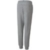 Spodnie dla dzieci Puma ESS Logo Pants FL szare 586973 03