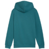 Bluza dla dzieci Puma ESS No.1 Logo Hoodie zielona 684909 41