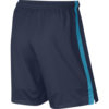 SPODENKI NIKE STRIKE LGR WVN /688390 411  