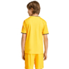 Koszulka dla dzieci adidas Entrada 26 Jersey żółta JZ2529