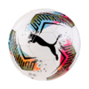 Piłka nożna Puma Futsal 2 HS 84343 01