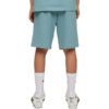 Spodenki dla dzieci Puma ESS Small No.1 Logo niebieskie 692974 47