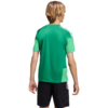 Koszulka dla dzieci adidas Tiro 26 Competition Training Jersey zielona KA7606