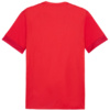 Koszulka męska Puma teamGoal Matchday Jersey czerwona 705747 01