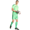 Spodenki męskie adidas Tiro 26 Competition Goalkeeper zielone KC5346