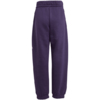 Dres dla dzieci adidas Essentials Joggers fioletowy JW2439