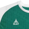 Koszulka Piłkarska Select Pisa X zielono biała