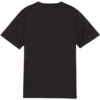 Koszulka dla dzieci Puma TeamGoal Jersey czarna 658637 03