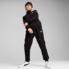 Dres męski Puma ESS Sweat Suit czarny 684848 01