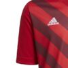 Koszulka dla dzieci adidas Entrada 22 Graphic Jersey czerwona H58983