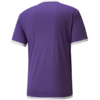 Koszulka męska Puma teamLIGA Jersey fioletowa 704917 10