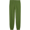 Spodnie dla dzieci Puma ESS No. 1 Logo zielone 684912 68