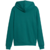Bluza męska Puma ESS 2 Color Small No.1 Logo Hoodie zielona 684719 41