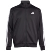 Dres męski adidas Sportswear Basic 3-Stripes French Terry czarny JC5375
