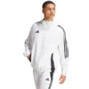 Spodenki męskie adidas Tiro 24 szare IS1408