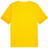Koszulka męska Puma teamGoal Matchday Jersey żółta 705747 07