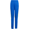 Spodnie dla dzieci adidas Squadra 25 Training niebiesko-żółte JP3154 