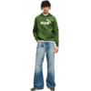 Bluza męska Puma ESS No.1 Logo Hoodie FL zielona 682571 68