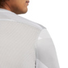 Bluza bramkarska męska Nike Dry Park IV JSY LS GK szara CJ6066 052