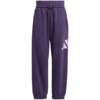 Dres dla dzieci adidas Essentials Joggers fioletowy JW2439
