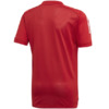 Koszulka dla dzieci adidas Condivo 20 Training Jersey JUNIOR czerwona ED9213
