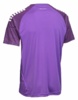 Koszulka piłkarska SELECT Spain v25 purpurowa