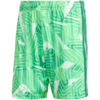 Spodenki męskie adidas Tiro 26 Competition Goalkeeper zielone KC5346