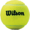 Piłki do tenisa ziemnego Wilson Championship 3 szt WRT100101