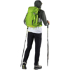 Kijki trekkingowe CMP Bern Trekking Poles zielono-czarne 3B36297 U911