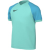 Koszulka dla dzieci Nike Dri-FIT Trophy VI miętowa HV8158 354