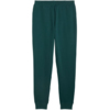 Spodnie męskie Puma ESS no.1 Logo Sweatpants FL zielone 682607 70