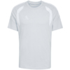 Koszulka męska adidas Tiro 26 League Tee szara JY7185